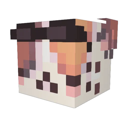 taylorxj Minecraft avatar head, 3D render