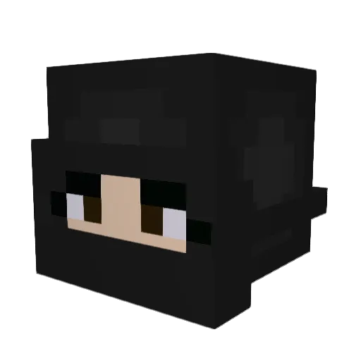 taylorxx002 Minecraft avatar head, 3D render