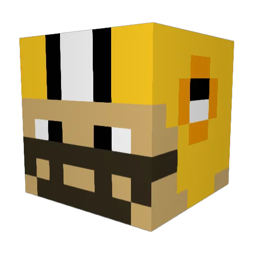 taymond11 Minecraft avatar head, 3D render
