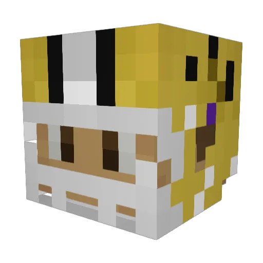 tayruyn Minecraft avatar head, 3D render