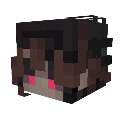 tayscript2701 Minecraft avatar head, 3D render