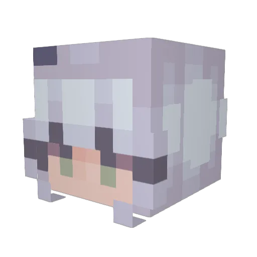 taytaynicky Minecraft avatar head, 3D render