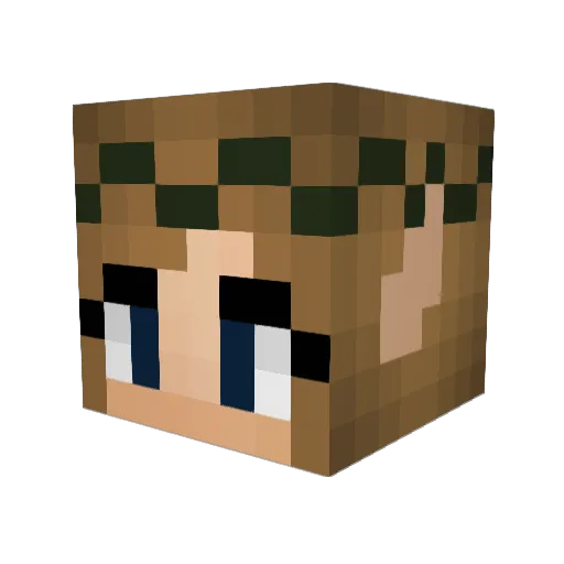 taytertot246 Minecraft avatar head, 3D render