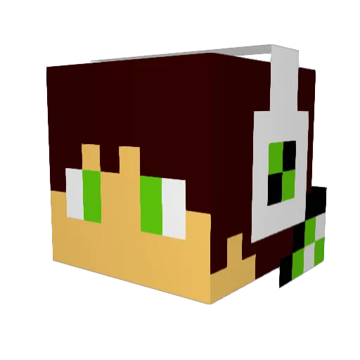 tazdevil17 Minecraft avatar head, 3D render