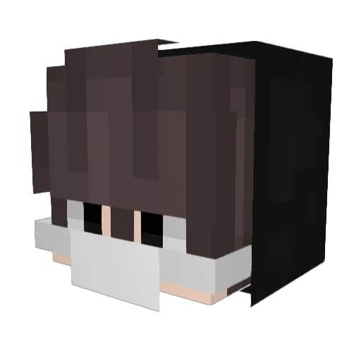 tazerous Minecraft avatar head, 3D render