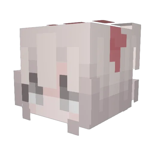 tazot Minecraft avatar head, 3D render