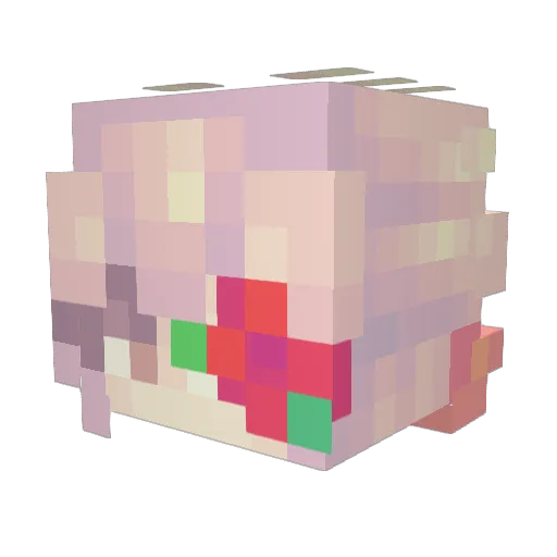 tazzza24 Minecraft avatar head, 3D render