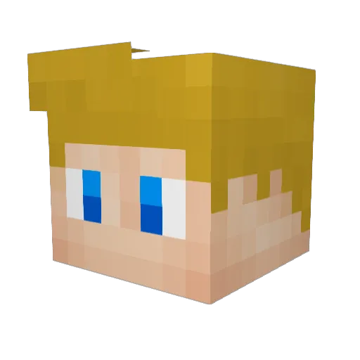 tb8787 Minecraft avatar head, 3D render
