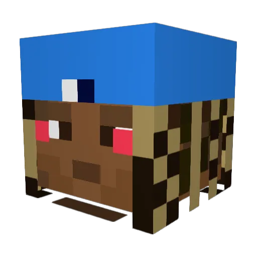 tb_jst4r Minecraft avatar head, 3D render