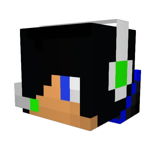 tb_killer013 Minecraft avatar head, 3D render