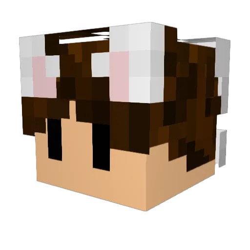 tbartzzbo Minecraft avatar head, 3D render