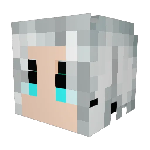 tbau80 Minecraft avatar head, 3D render