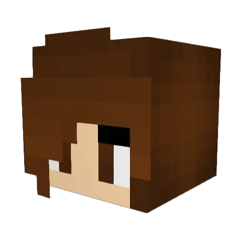 tbbsister Minecraft avatar head, 3D render