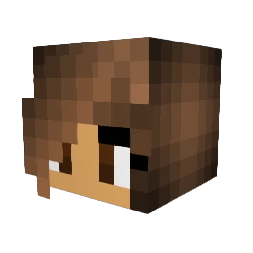 tbear_miner Minecraft avatar head, 3D render