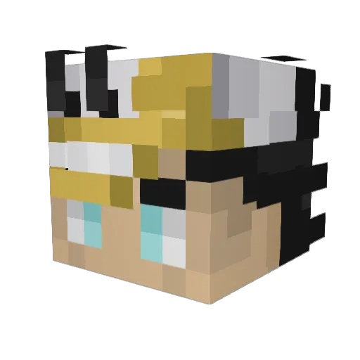 tbiiix Minecraft avatar head, 3D render