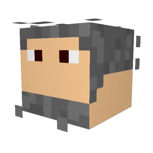 tbird2008 Minecraft avatar head, 3D render