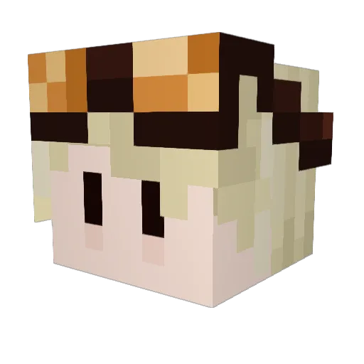 tbnetwork Minecraft avatar head, 3D render