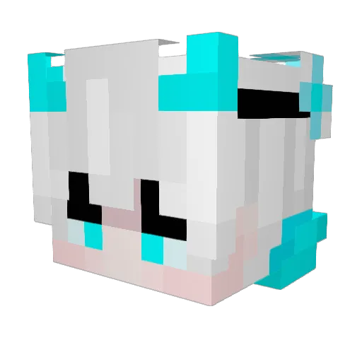 tbnrfire980 Minecraft avatar head, 3D render
