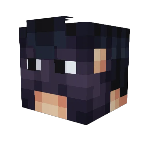 tbone2029 Minecraft avatar head, 3D render