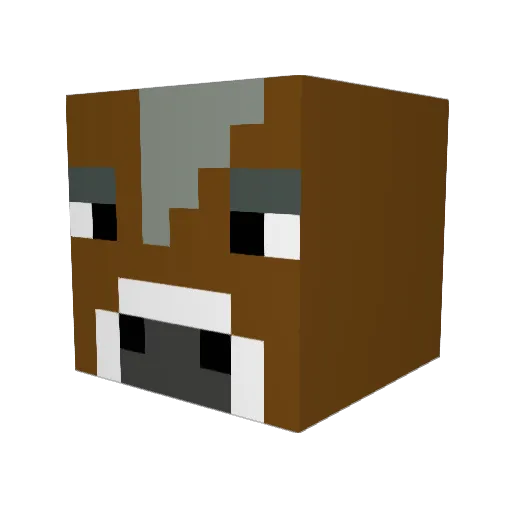 tbone789 Minecraft avatar head, 3D render