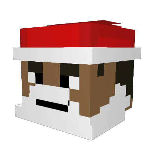 tbot552 Minecraft avatar head, 3D render