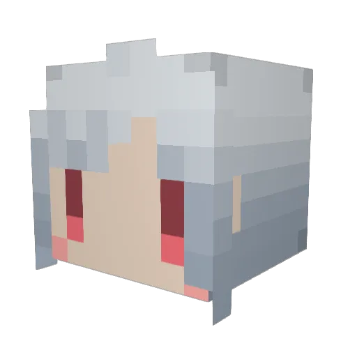 tbr27 Minecraft avatar head, 3D render