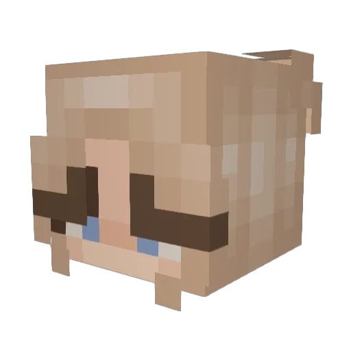 tbug630 Minecraft avatar head, 3D render