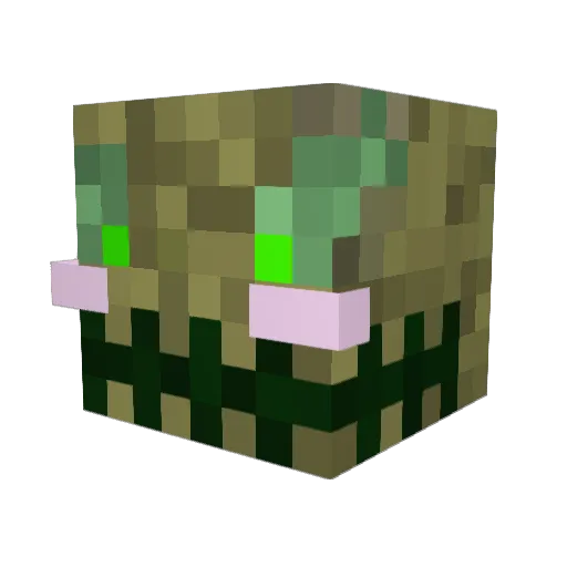 tbv1000 Minecraft avatar head, 3D render