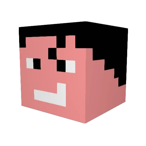 tc1995 Minecraft avatar head, 3D render
