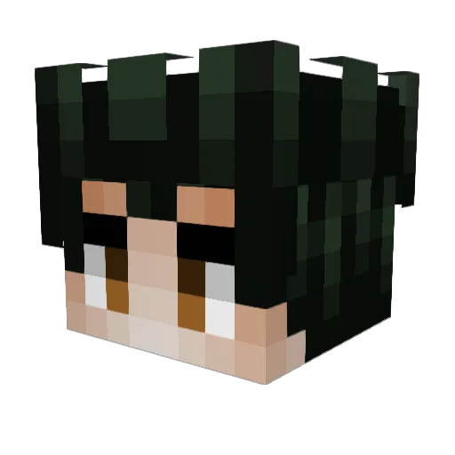 tcake55 Minecraft avatar head, 3D render