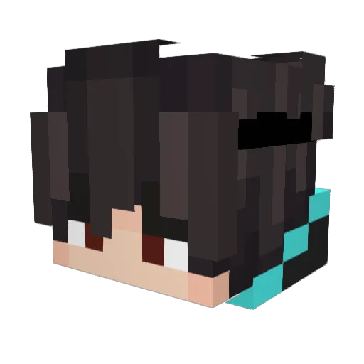 tcarnes Minecraft avatar head, 3D render
