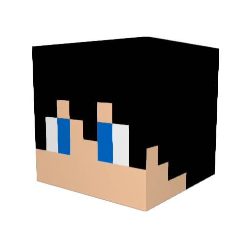 tcct Minecraft avatar head, 3D render