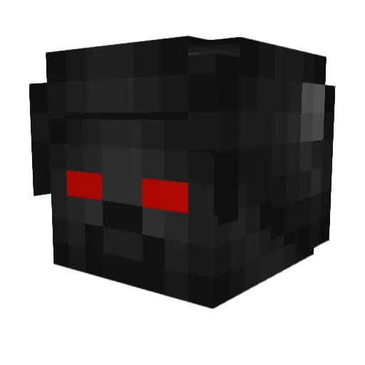 tcgthecoolguy Minecraft avatar head, 3D render