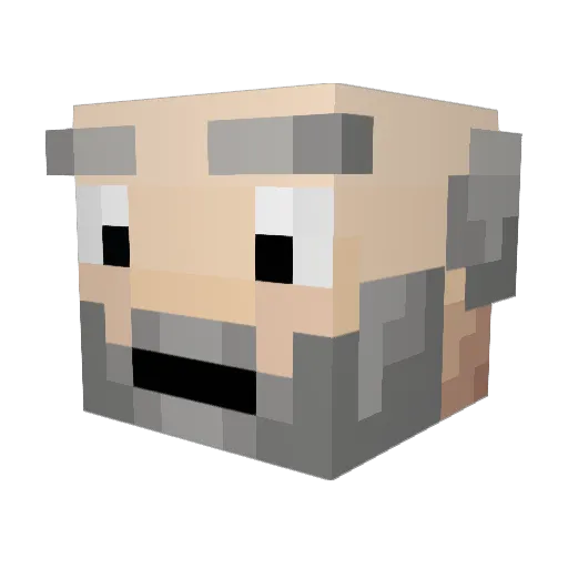 tchan1 Minecraft avatar head, 3D render