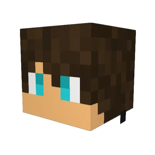 tclin2005 Minecraft avatar head, 3D render