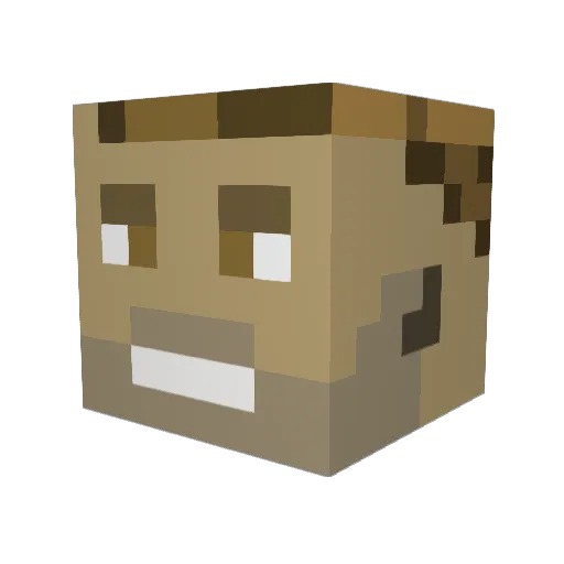tcon12 Minecraft avatar head, 3D render