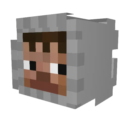 tcqn Minecraft avatar head, 3D render
