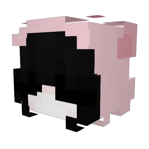 tcylor Minecraft avatar head, 3D render