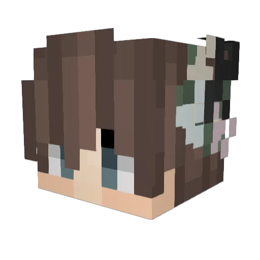 tdanry19 Minecraft avatar head, 3D render