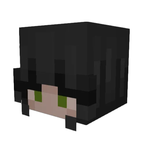 tdistaaa14 Minecraft avatar head, 3D render