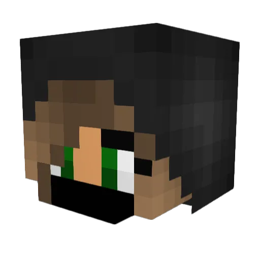 tdog1611 Minecraft avatar head, 3D render
