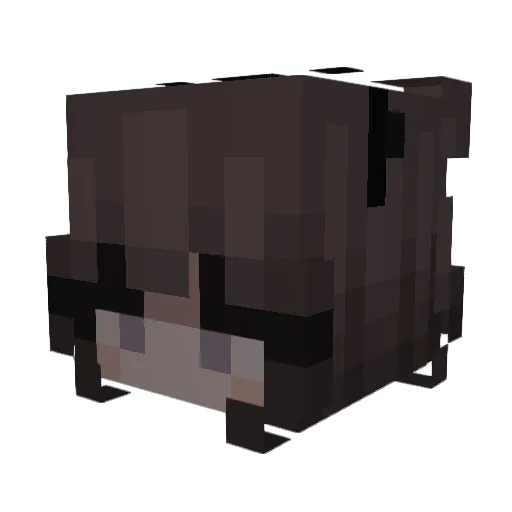 tdog_03 Minecraft avatar head, 3D render