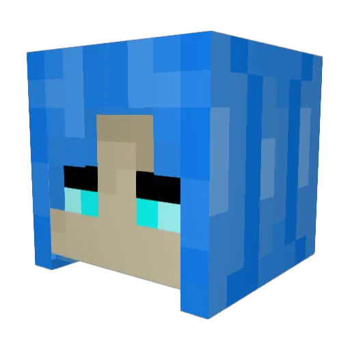 tdogg415 Minecraft avatar head, 3D render