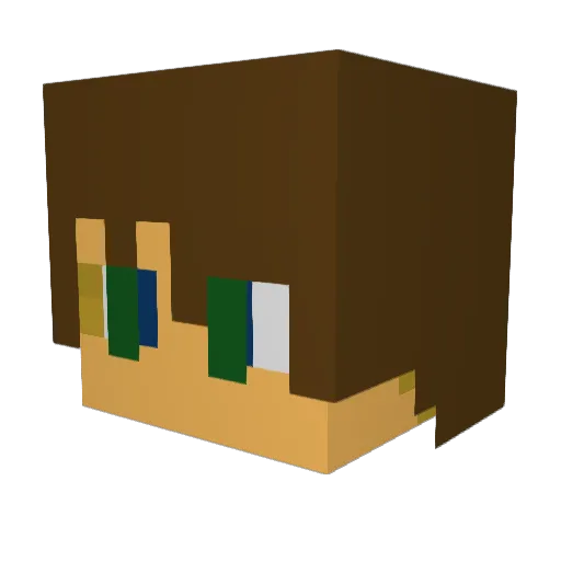 tdrake02 Minecraft avatar head, 3D render