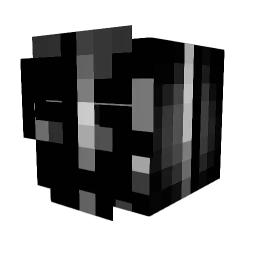 tdub2200 Minecraft avatar head, 3D render