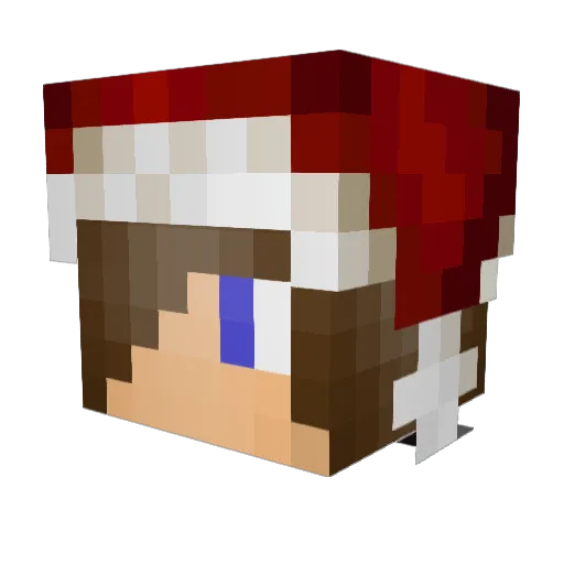 tdub2217 Minecraft avatar head, 3D render