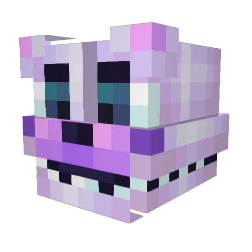 tdude995 Minecraft avatar head, 3D render