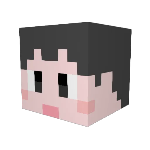 te_shi_ta Minecraft avatar head, 3D render
