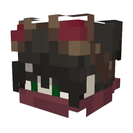 tea1bedo Minecraft avatar head, 3D render