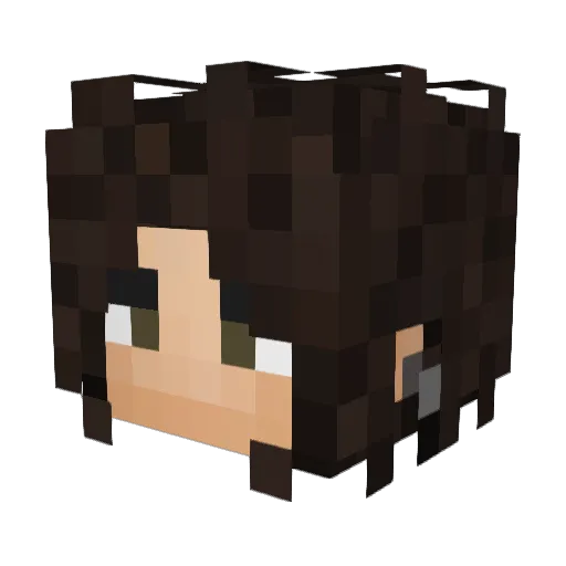 teac4ne Minecraft avatar head, 3D render